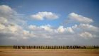 قوات سوريا الديمقراطية تسلم العراق 280 داعشيا