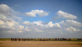 عناصر  من داعش بعد تسليم نفسها لقوات سوريا الديمقراطية