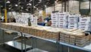 بالفيديو.. ضبط كوكايين بـ19 مليون دولار في شحنة أناناس بميناء أمريكي