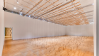 عرض أعمال الفنان السويسري زيمون بمتحف جامعة نيويورك أبوظبي الثلاثاء