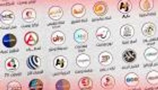 كيف نواجه دعاية الإخوان الإرهابية؟.. خبراء يجيبون "العين الإخبارية"