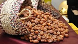 الإمارات تستضيف وزراء زراعة الدول المنتجة للتمور بالعالم في مارس 