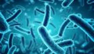 انتشار البكتيريا الخارقة يدق ناقوس الخطر في أوروبا