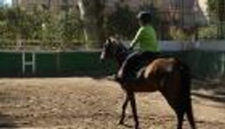 بالفيديو.. منتخب مصر للفروسية لأصحاب الهمم يستعد لـ"الألعاب العالمية"