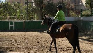 جانب من تدريبات منتخب الفروسية المصري لأصحاب الهمم