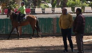 أحمد مصطفى مدرب منتخب الفروسية المصري لأصحاب الهمم