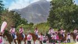 ختام مسيرة "القافلة الوردية" بالإمارات بتوفير فحوص سرطان الثدي لـ6098 شخصا