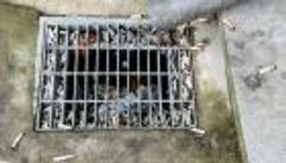 دراسة: أعقاب السجائر تُعدّ أخطر الملوثات البيئية في العالم