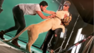 محمد رمضان مُروّض أسود في أغنيته الجديدة "فيروس"