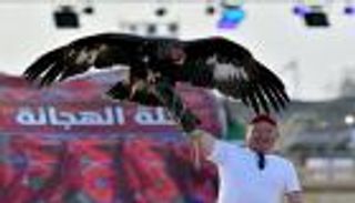 مهرجان الملك عبدالعزيز للإبل .. نقطة التقاء بين ثقافات العالم