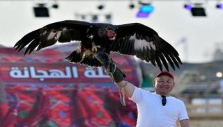 ترويض النسور والصقور في المهرجان