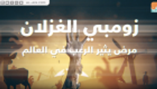 زومبي الغزلان.. مرض يثير الرعب في العالم