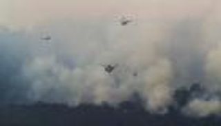 بالصور.. حرائق الغابات تدمر 30 منزلا و70 مبنى في أستراليا