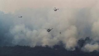 حرائق الغابات تشعل 30 منزلا و70 مبنى في أستراليا