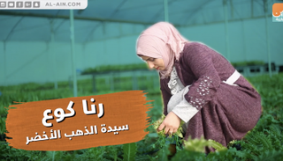 رنا كوع.. سيدة الذهب الأخضر