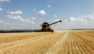 سوريا تستورد 20 ألف طن من قمح البحر الأسود