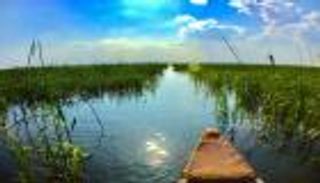 بالصور.. وفرة المياه تعيد الحياة لأهوار العراق هذا العام