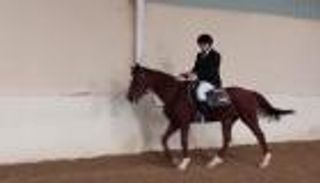 مدربة منتخب الأردن للفروسية تتحدث عن المشاركة في دورة الألعاب العالمية