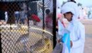 صندوق الحبارى ينقل التعلم التجريبي لآفاق جديدة بمهرجان أم الإمارات 2019