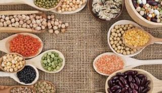 مستثمرو قطاع الصناعات الغذائية يتجهون للبروتينات البديلة