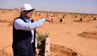الرئيس المصري عبدالفتاح السيسي