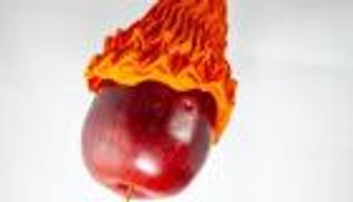 بالصور.. روبوت "وردة" يحمل أوزانا تعادل 100 ضعف من وزنه