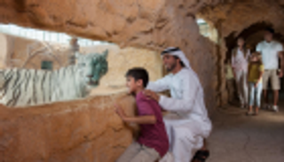 الإمارات تعتمد اللائحة التنفيذية لقانون حيازة الحيوانات الخطرة