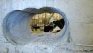 "المشية العرجاء" تسقط زعيم عصابة نفذت إحدى أكبر السرقات ببريطانيا