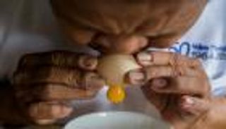 دراسة أمريكية: تناول البيض يزيد خطر الإصابة بنوبة قلبية