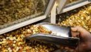 موجة كساد حادة تخيم على أسواق إيران مع حلول "النوروز"