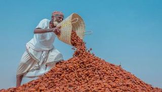 3 فائزين بمسابقة "النخلة في عيون العالم"