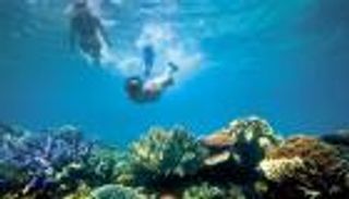 لعشاق المغامرة.. اكتشف أشهر أماكن الغوص في العالم