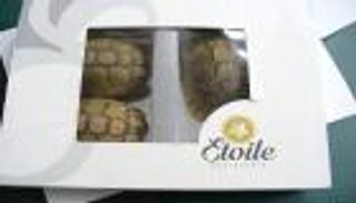 إحباط محاولة تهريب سلاحف في صندوق كعك بمطار برلين