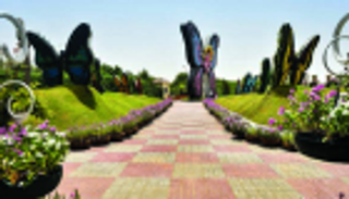 متعة الحياة بالألوان بحديقة الفراشات في دبي.. تعرف على أسعار الدخول