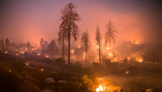  كاليفورنيا تشهد جفافا وعانت لسنوات من حرائق عنيفة