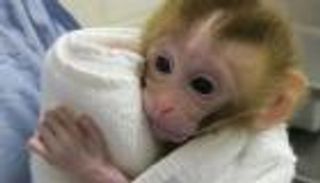 قفزة علمية كبيرة في علاج عقم مرضى السرطان 