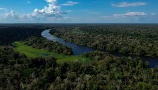 الغابة الأمازونية في ولاية أمازوناس البرازيلية