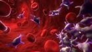 الصفائح الدموية تحمل سر شباب العقل