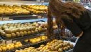 7 شركات فرنسية تغش المستهلك الأوروبي بـ"الكيوي" الإيطالي