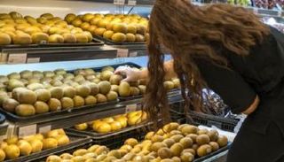 7 شركات فرنسية تغش المستهلك الأوروبي بـ"الكيوي" الإيطالي