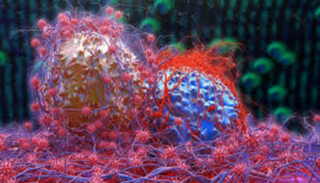 التسخين يقضي بفاعلية على الأنواع الصلبة من الأورام