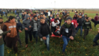 مسؤول فلسطيني: جهود مصرية حثيثة لتثبيت التهدئة في غزة