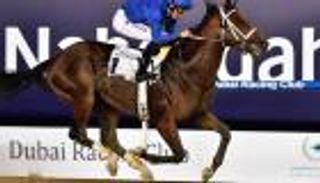 كأس دبي العالمي للخيول.. ٤ معلومات عن الشوط السادس "دبي جولدن شاهين"
