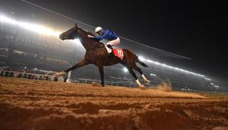 كأس دبي العالمي