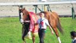 مدرب كي تي بريف يسعى للتغلب على القرعة الصعبة في كأس دبي العالمي