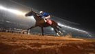 ٣ حقائق عن الشوط الأول لكأس دبي العالمي للخيول