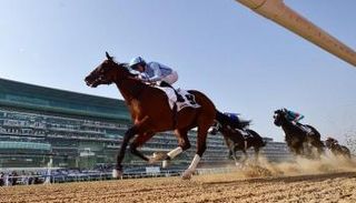 كأس دبي العالمي