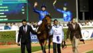 الجارديان: الجواد نورث أمريكا المرشح الأبرز للفوز في كأس دبي العالمي