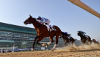 إنفوجراف.. أشواط كأس دبي العالمي للخيول