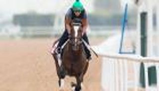 فيديوجراف.. تعرف على المشاركين في السباق الرئيسي لكأس دبي العالمي